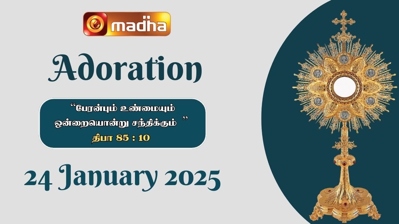 🔴 LIVE 24 January 2025 | Adoration 11:00 AM | Madha TV