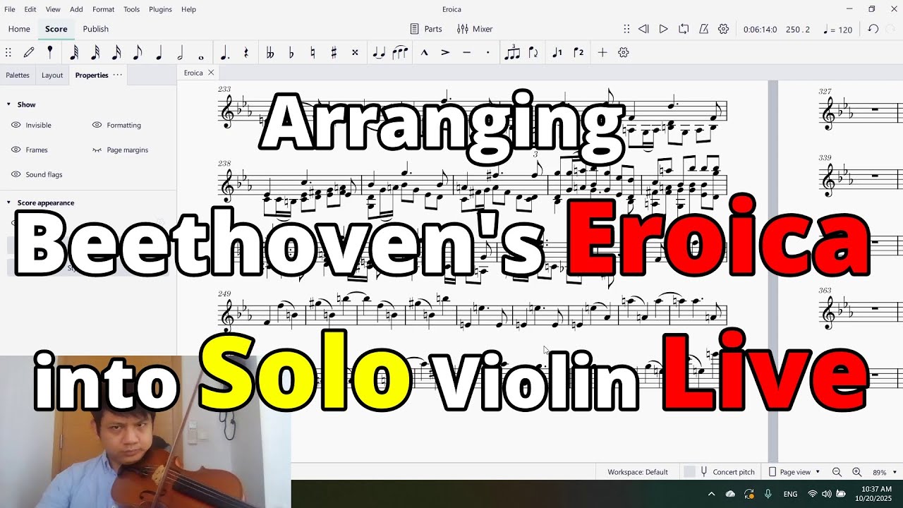 Turning Beethoven Eroica Symphony into a Violin Solo