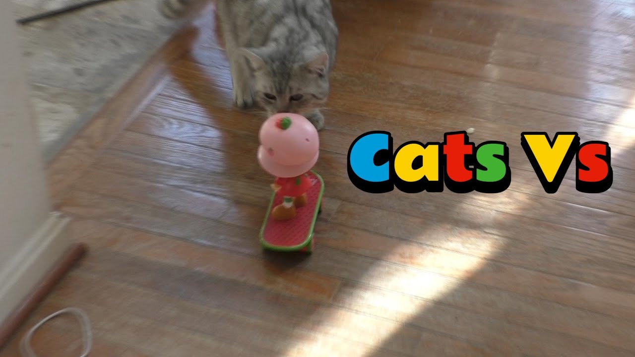 Cats Vs Strawberry Shortcake On Skateboard RC From Five Below!  😻