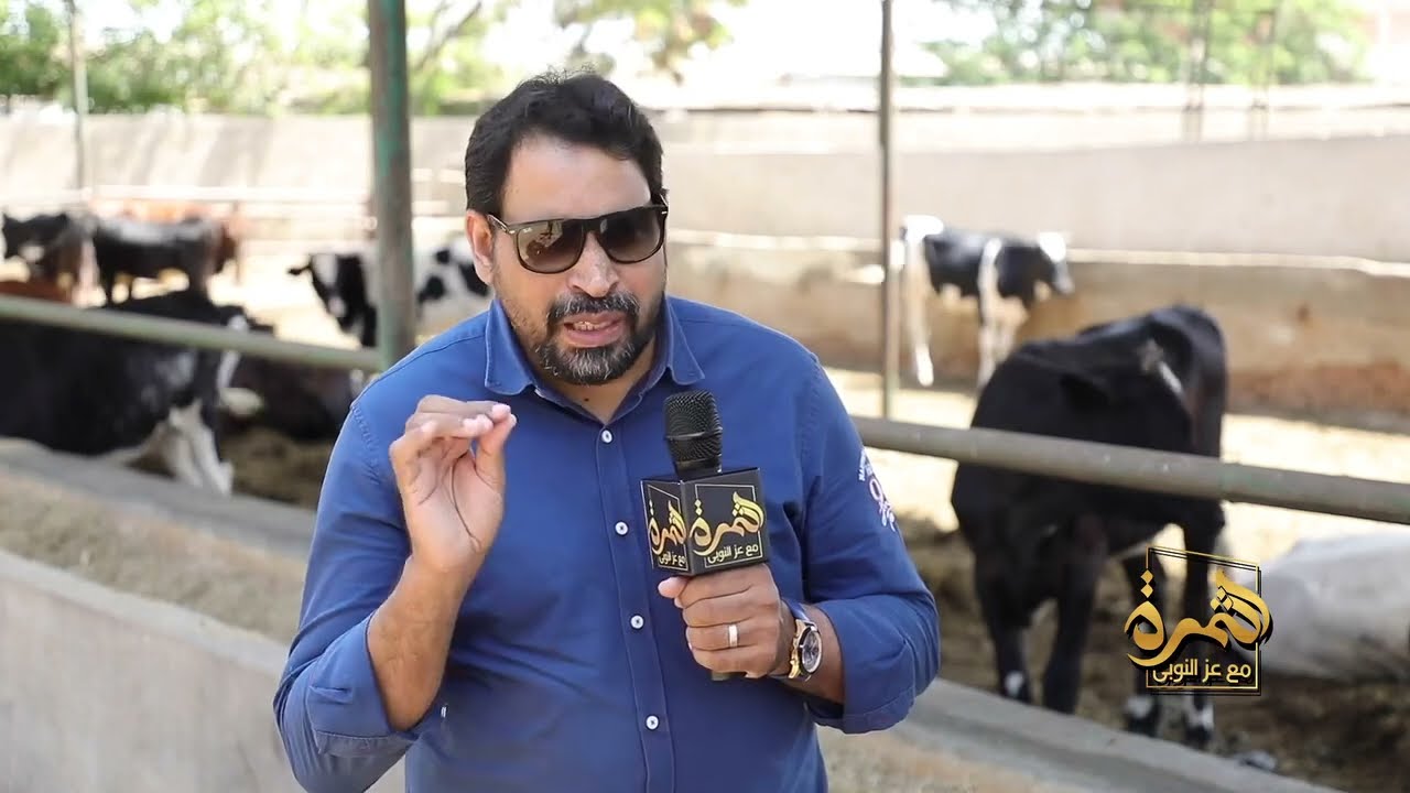 مفاجأة داخل مزرعتنا 🐄 إنتاج سلالة جديدة من المواشي لأول مرة أسرار التربية والتهجين