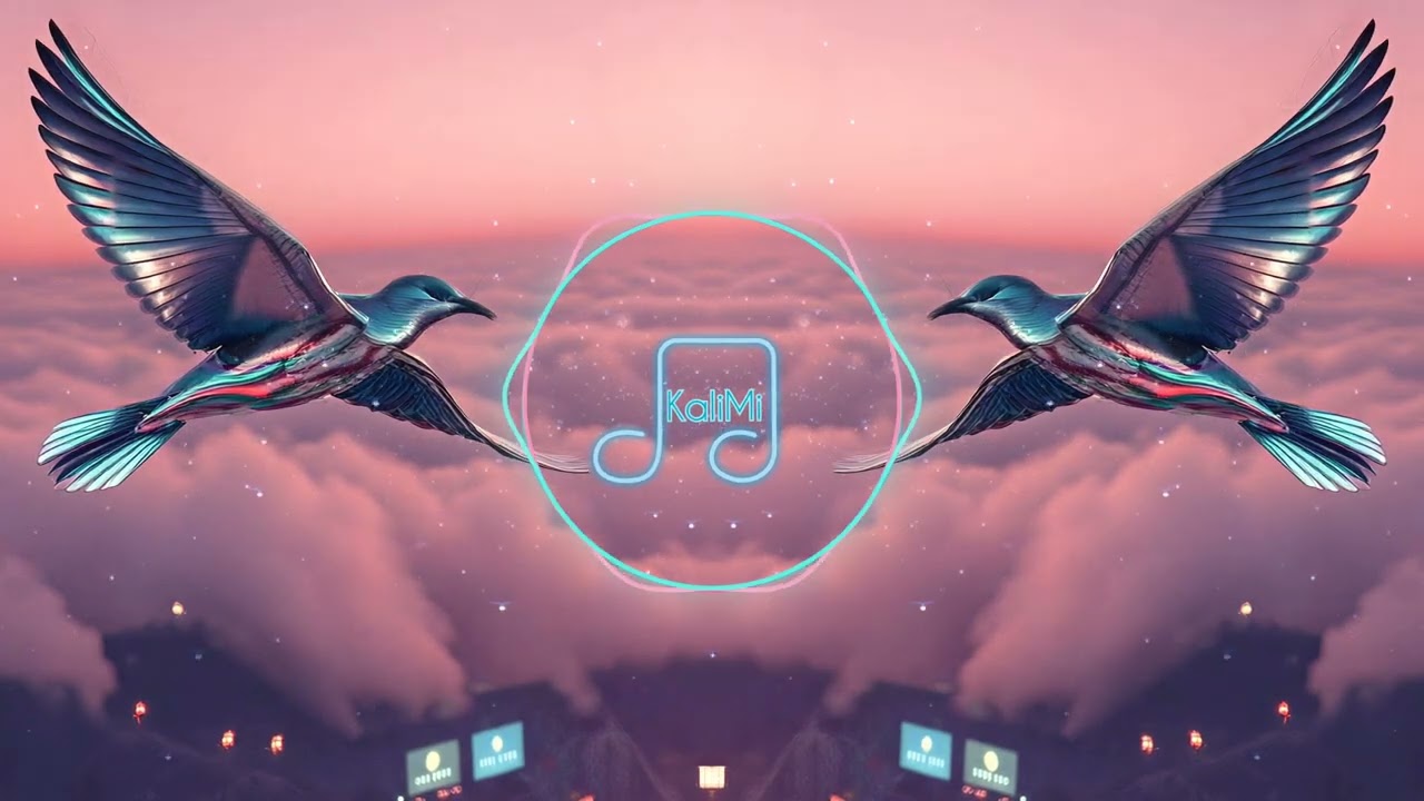 KaliMi - Above The Sky