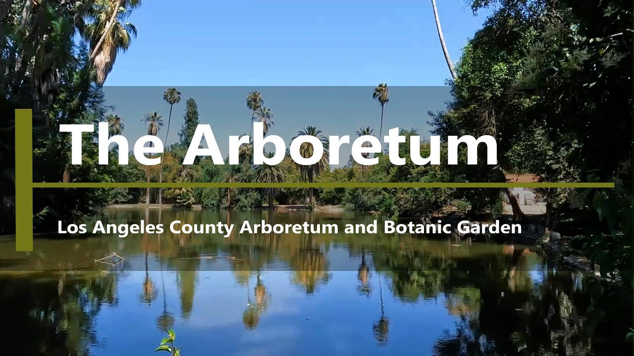 Walk in the LA County Arboretum - Arcadia, CA