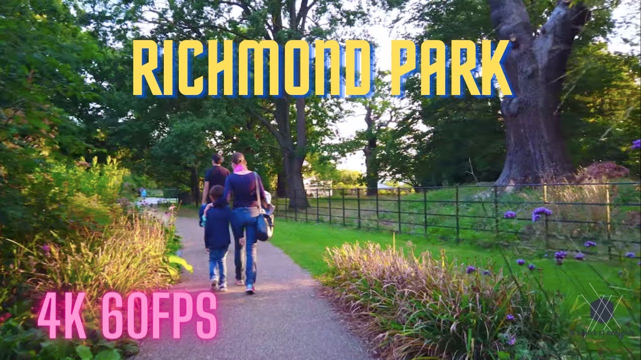【4K】London Walking Tour - Richmond Park - Bumping into Deer - Post Lockdown 2020 - London Reopened