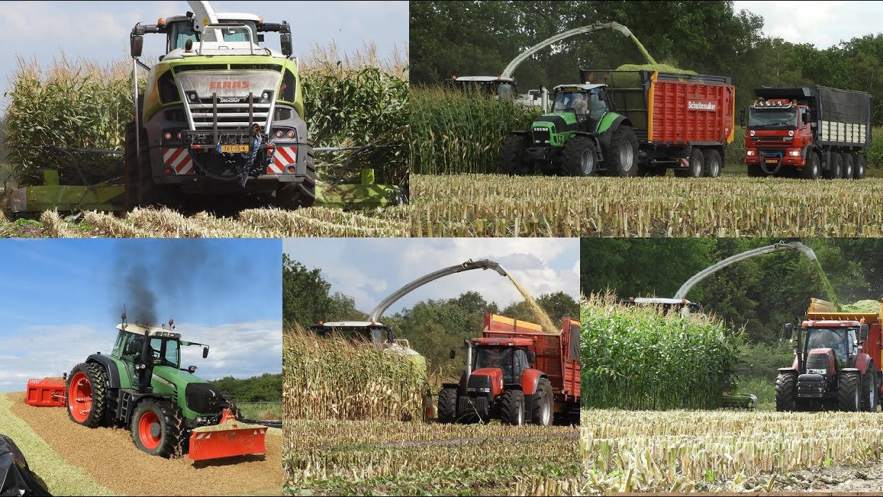 Mais 2025! loonbedrijf van de Peppel & Vrieling loonwerk. Mais hakselen en inkuilen.