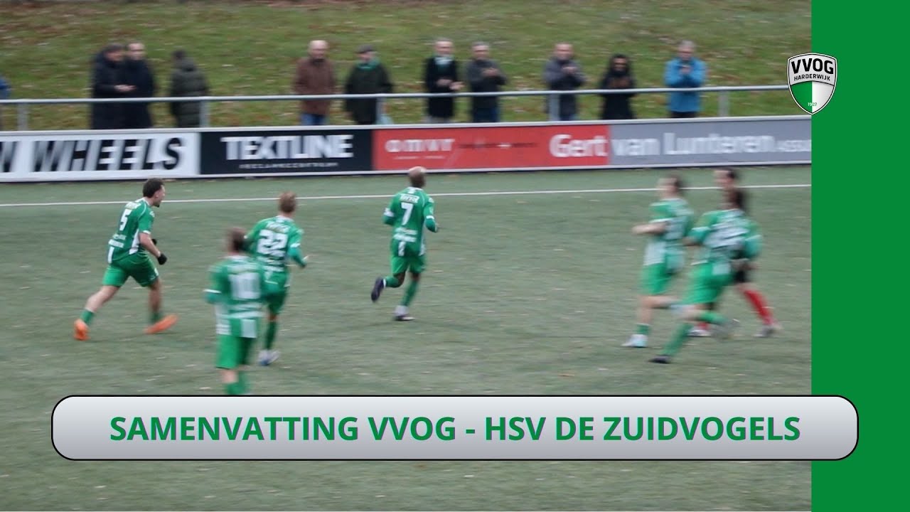 Samenvatting VVOG - HSV de Zuidvogels (3-1)