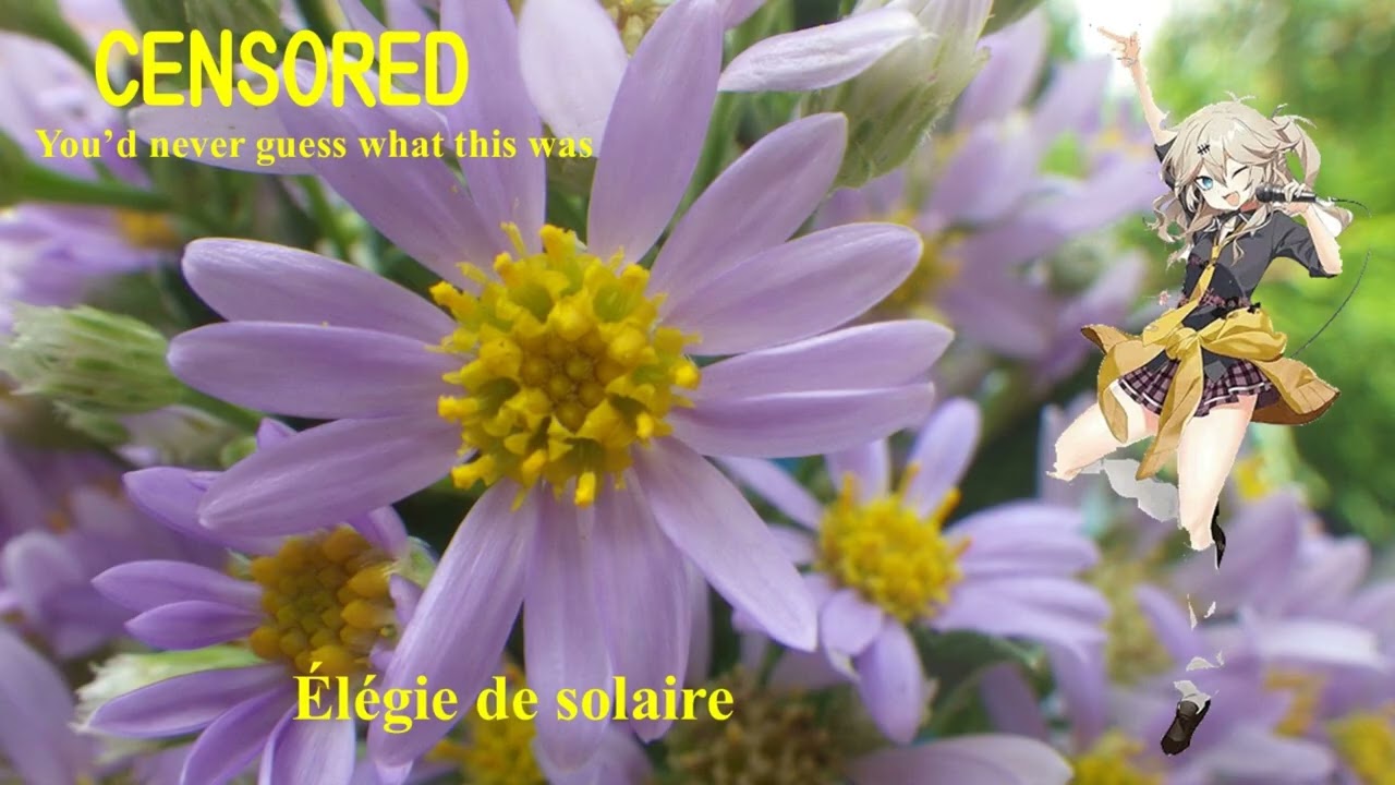 【SAKURA】 Élégie de solaire【Vocaloid6】たいようの哀悼歌; Flower 2017