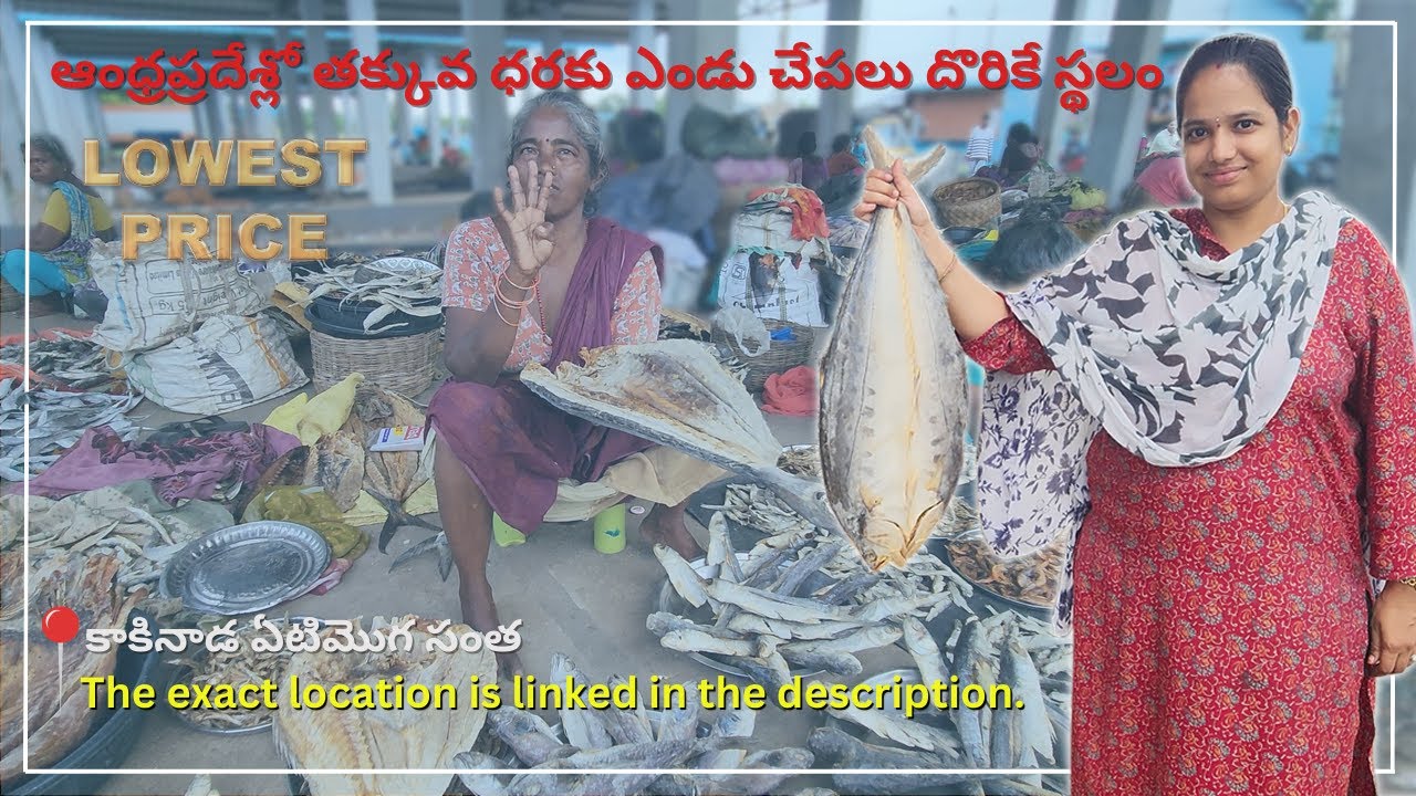 కాకినాడ ఏటిమొగ ఎండు చేపల మార్కెట్💯| Kakinada Yetimoga Dry Fish Market |