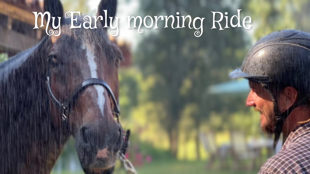 From Showjumping super star to the French Countryside: Cantho Z's peaceful Retirement with The Moons