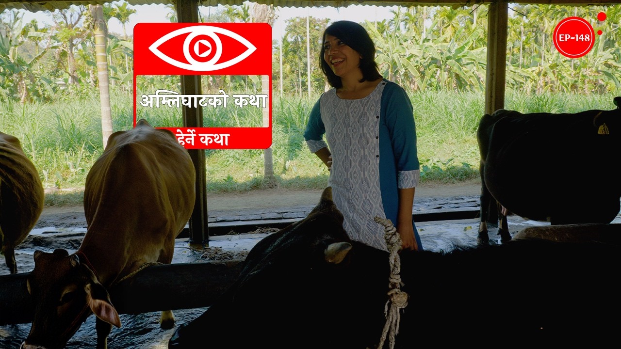 अम्लिघाटको कथा | Amlighat ko Katha | Herne Katha EP148 - हेर्ने कथा