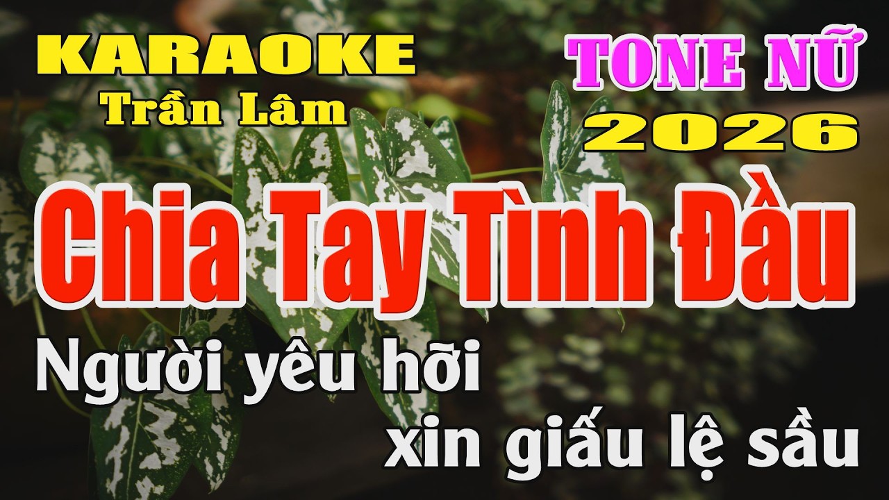 Karaoke Chia Tay Tình Đầu Tone Nữ ( Rê thứ ) Karaoke Trần Lâm