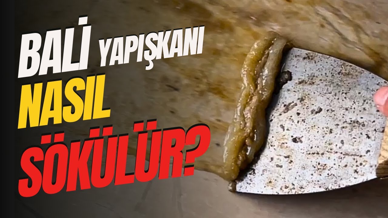 Bali Nasıl Sökülür? | Soltek Kimya