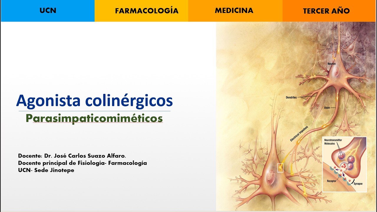 Agonista colinérgicos (Directo y indirecto)