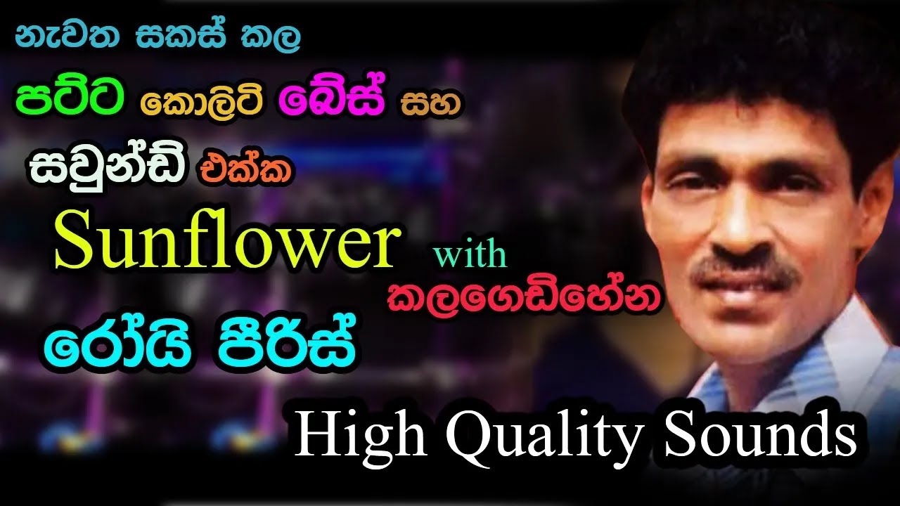 Roy Pieris with Sunflowers | Live in Kalagedihena | Re Created Quality Sounds
