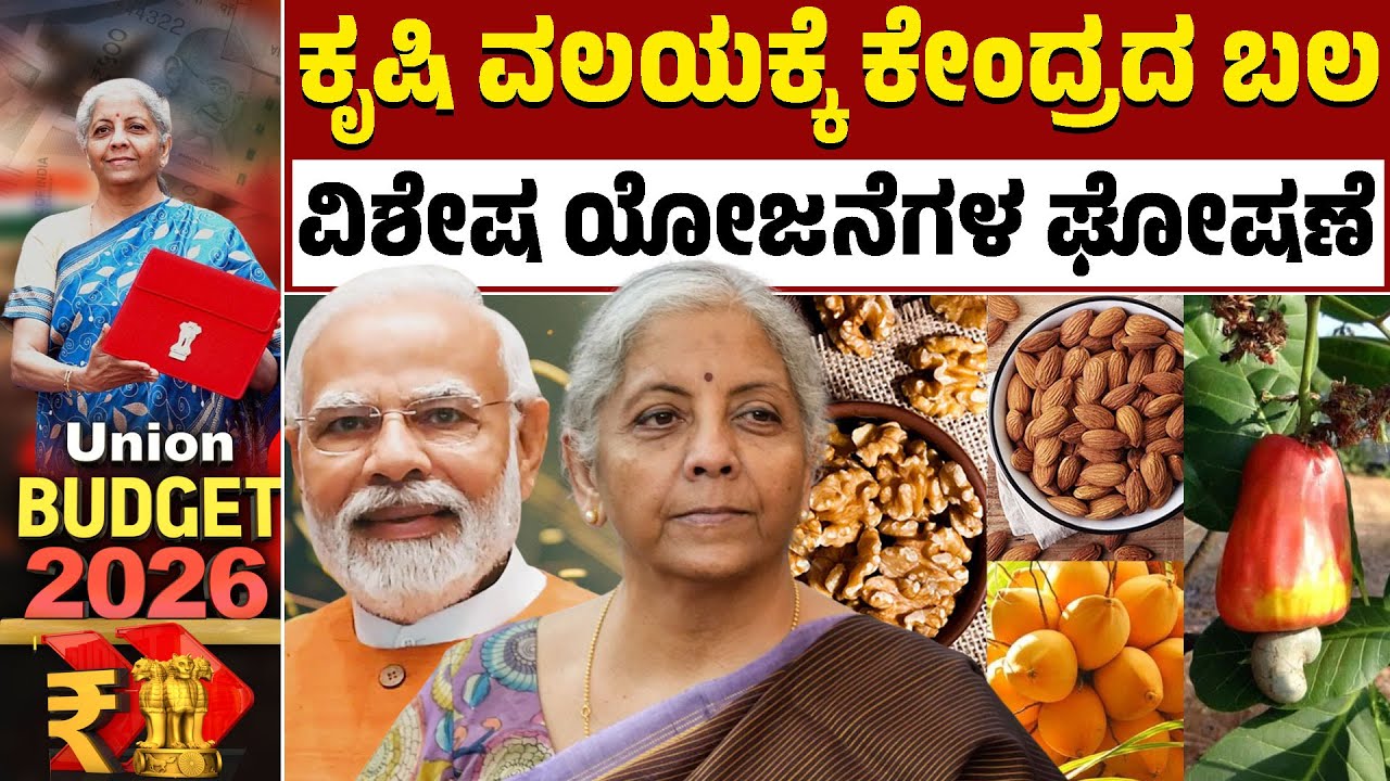 Union Budget | ಕೃಷಿ ವಲಯಕ್ಕೂ ವಿಶೇಷ ಯೋಜನೆಗಳ ಘೋಷಣೆ | Nirmala Sitharaman | Modi | Kannada News | KTV