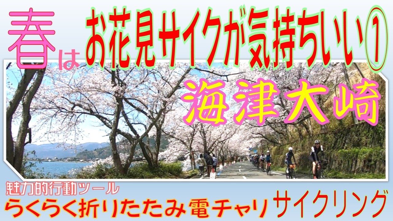 魅力的行動ツール　折りたたみ電動アシスト自転車で行く楽々サイクリング　春　日本のさくら名所１００選「海津大崎」（滋賀県・奥琵琶湖）お花見サイクリング