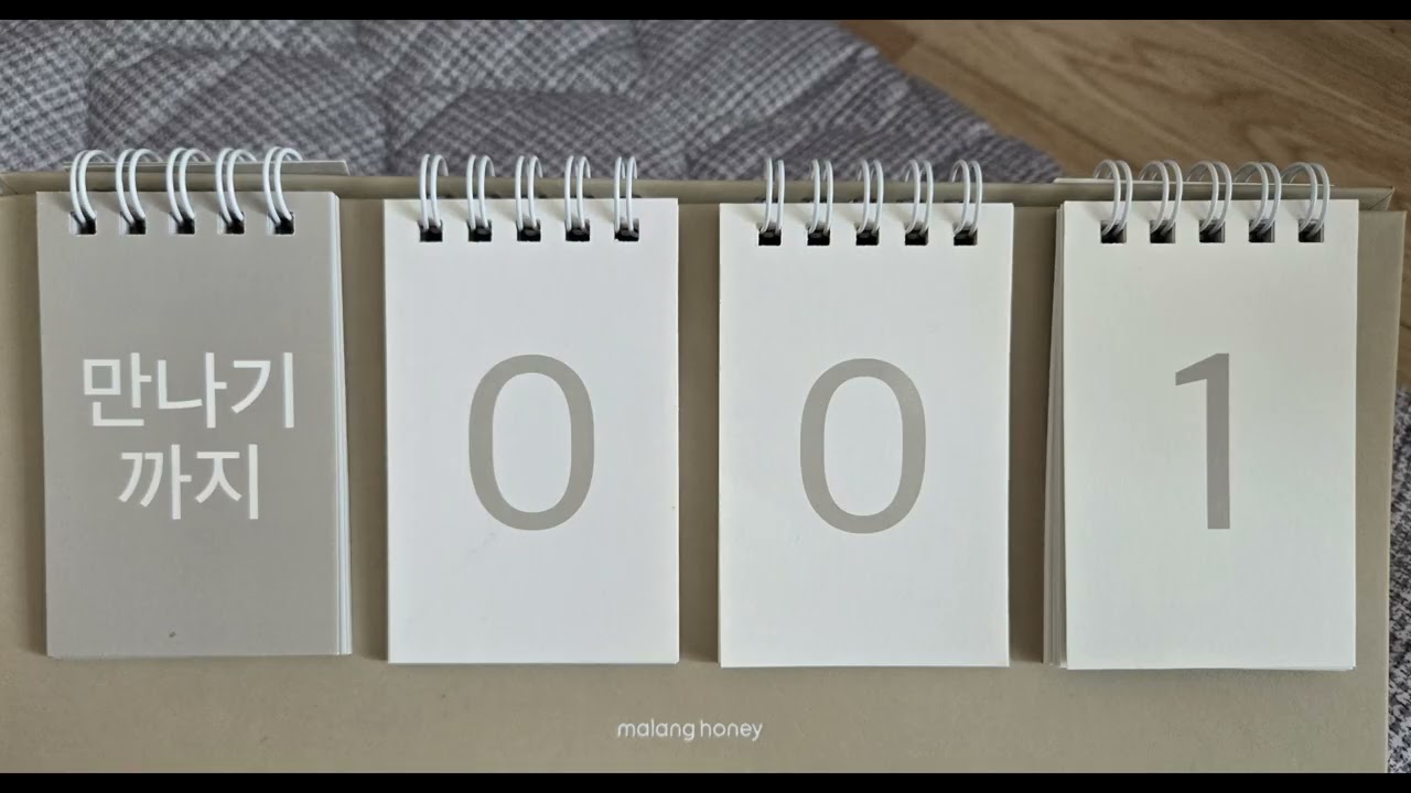 드디어 방 뺀 날! 손바닥만 한 인간 소이와 첫 만남