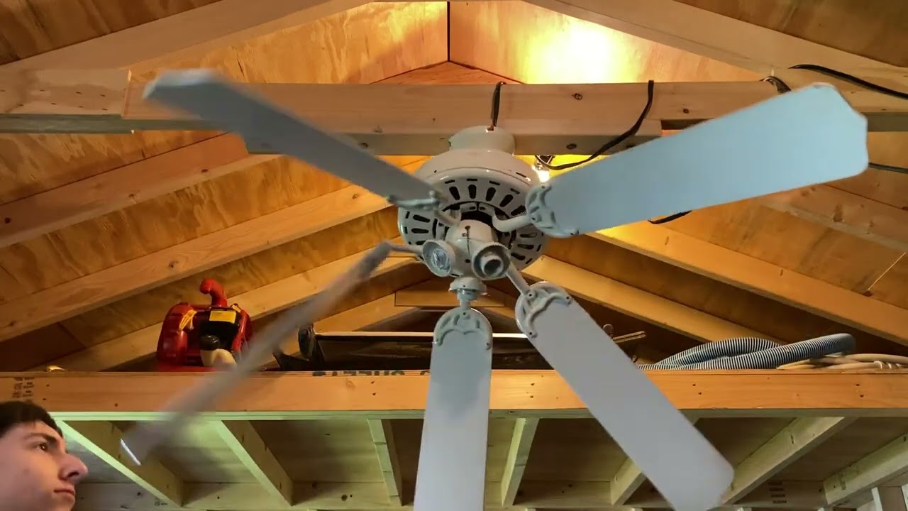 Ceiling fan destruction 9