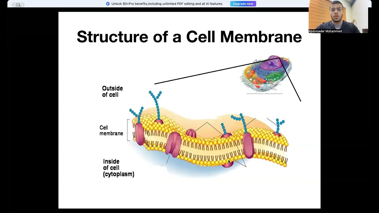 كلية الطب جامعة اشور المرحلة الاولى علم الاحياء المحاضرة الثانية AUCOM Biology Lecture 2