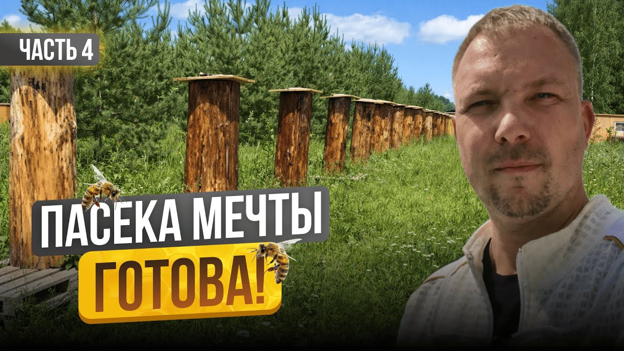 Сбежал с Офиса на Песеку! Что из этого Вышло? Строю Пасеку с Нуля | Серия 4