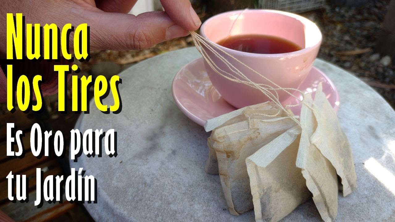 ¡Nunca tires las Bolsitas de Té! ¡Valen ORO para tus PLANTAS!
