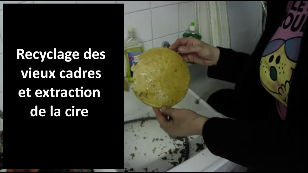 Recyclage des vieux cadres et extraction de la cire