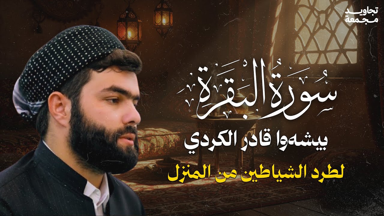 رقية للمنزل وزيادة البركة .. تلاوة مباركة لسورة البقرة | القارئ الشيخ بيشةوا الكردي | تجاويد مجمعة
