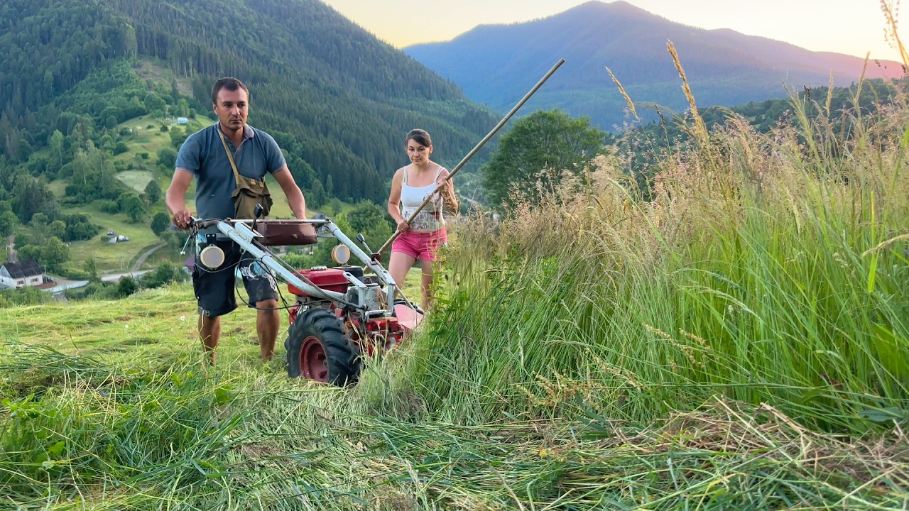 A Huge Hay Harvest in the Carpathians | Real Village Family Life & Mountain Traditions