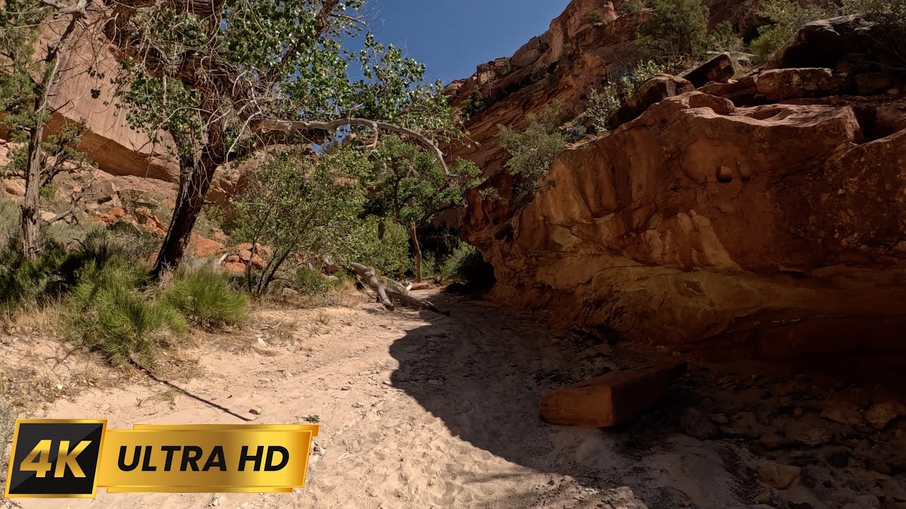 4k Echo Canyon Virtual Hike Colorado National Monument