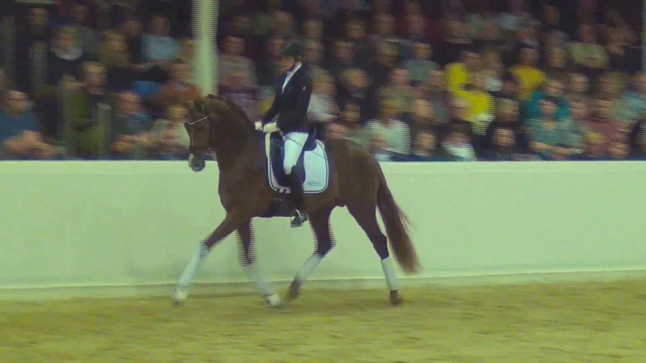 VIVA GOLD & Kathrin Sudhölter