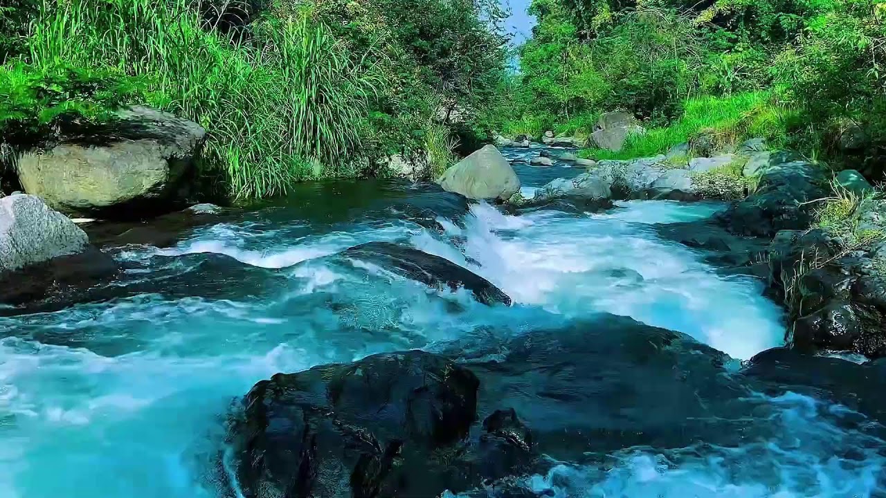Forest River Water Flow Ambience, Mountain Stream, Sleep