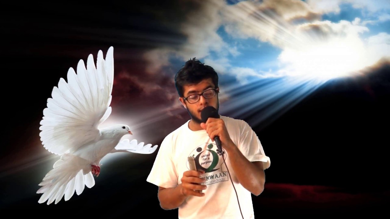 5 ways to tell your pigeon is sick