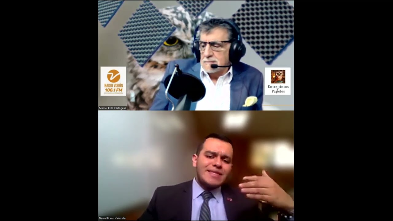 ¿Se respeta la Constitución en el Ecuador? | Entrevista a Daniel Bravo Vintimilla