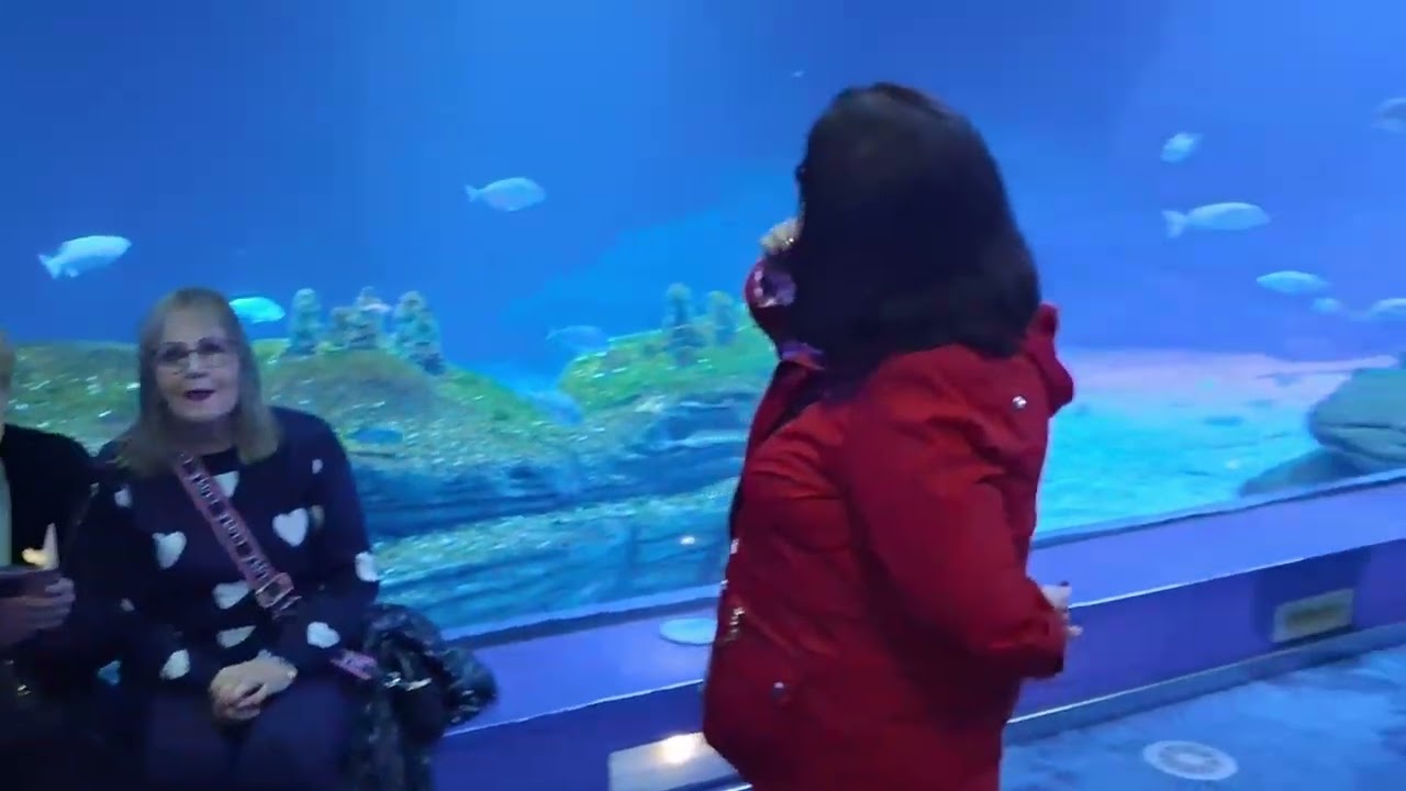 Visitamos el Oceanográfic,  de Valencia. Dic 2025.