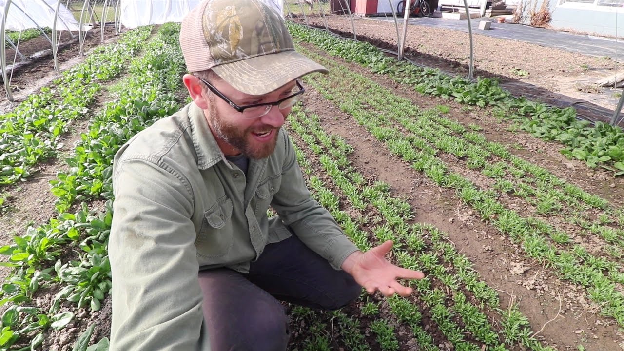 TURNING A CROP FAILURE INTO A SUCCESS