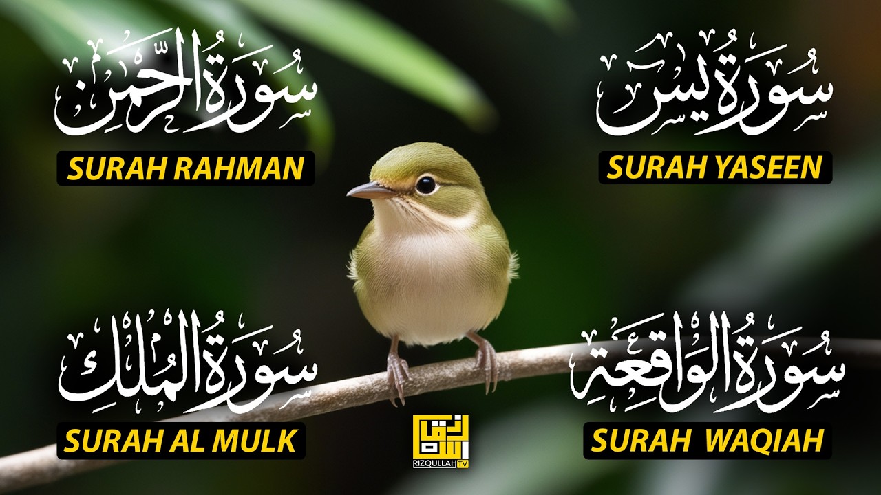Magical Recitation Surah Yaseen (Yasin) | Surah Rahman | Surah Waqiah | Surah Mulk EP211