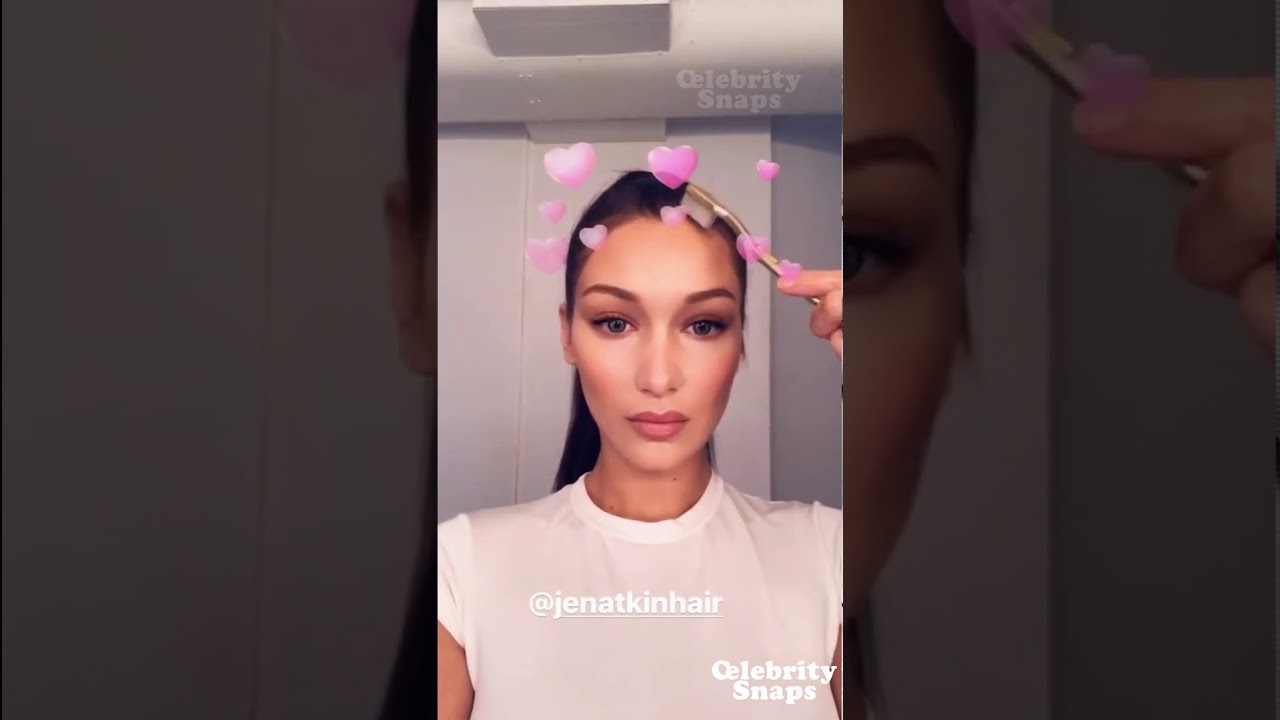 Bella Hadid Instagram Stories | December 2017 Full |