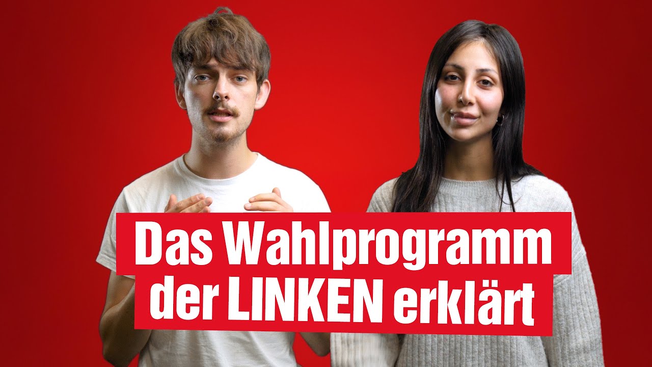 Das Wahlprogramm der LINKEN erkl&auml;rt