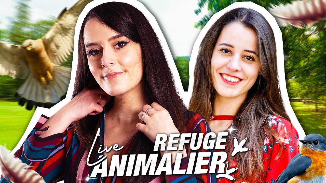 LIVE DANS UN REFUGE ANIMALIER avec ANGLE DROIT - ULTIA REPLAY 22/06/2022