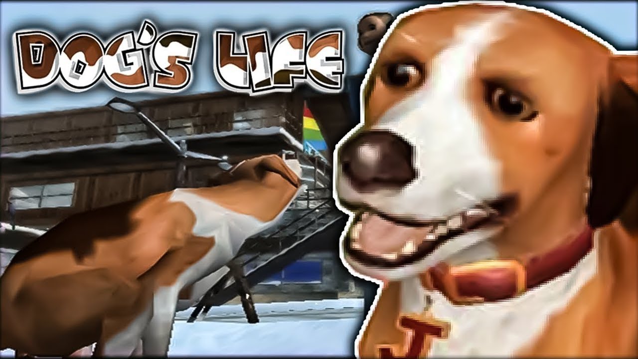 Local Dog Terrorizes Small Town With Rancid Stench | DOG'S LIFE
