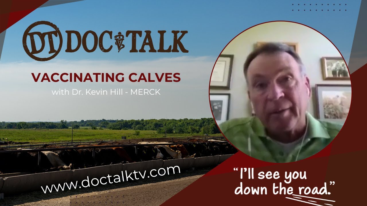 DocTalk Ep 434 - Vaccinating Calves with Dr. Kevin Hill