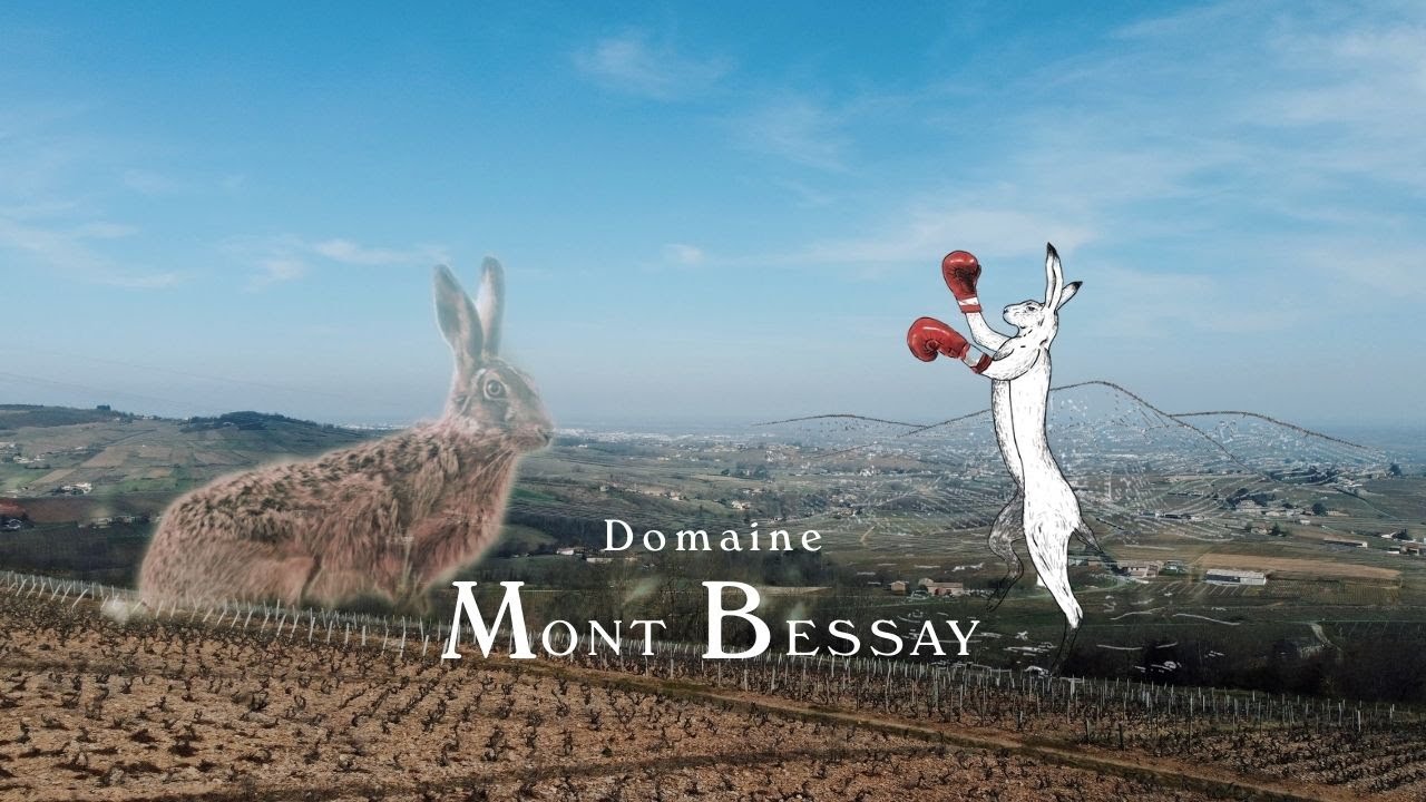 Domaine Mont Bessay - Juliénas - #1