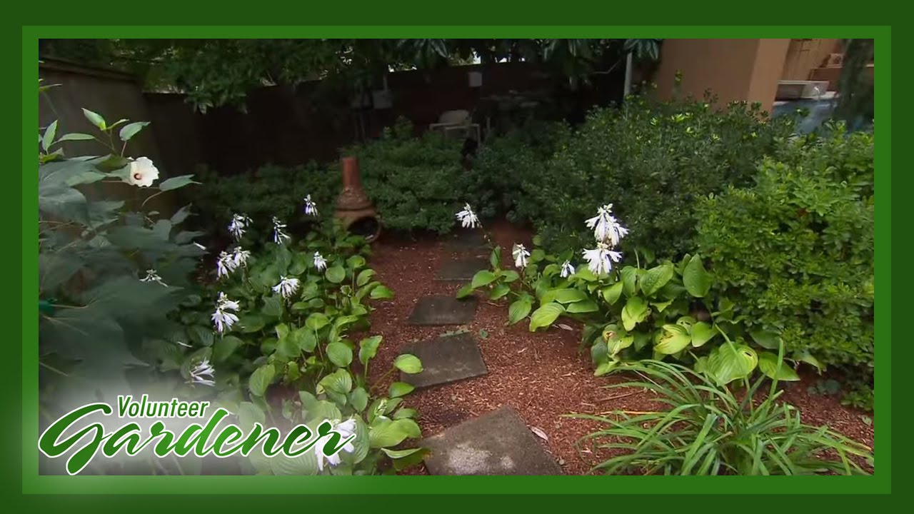 Small Lot/Gardener's Big Design
