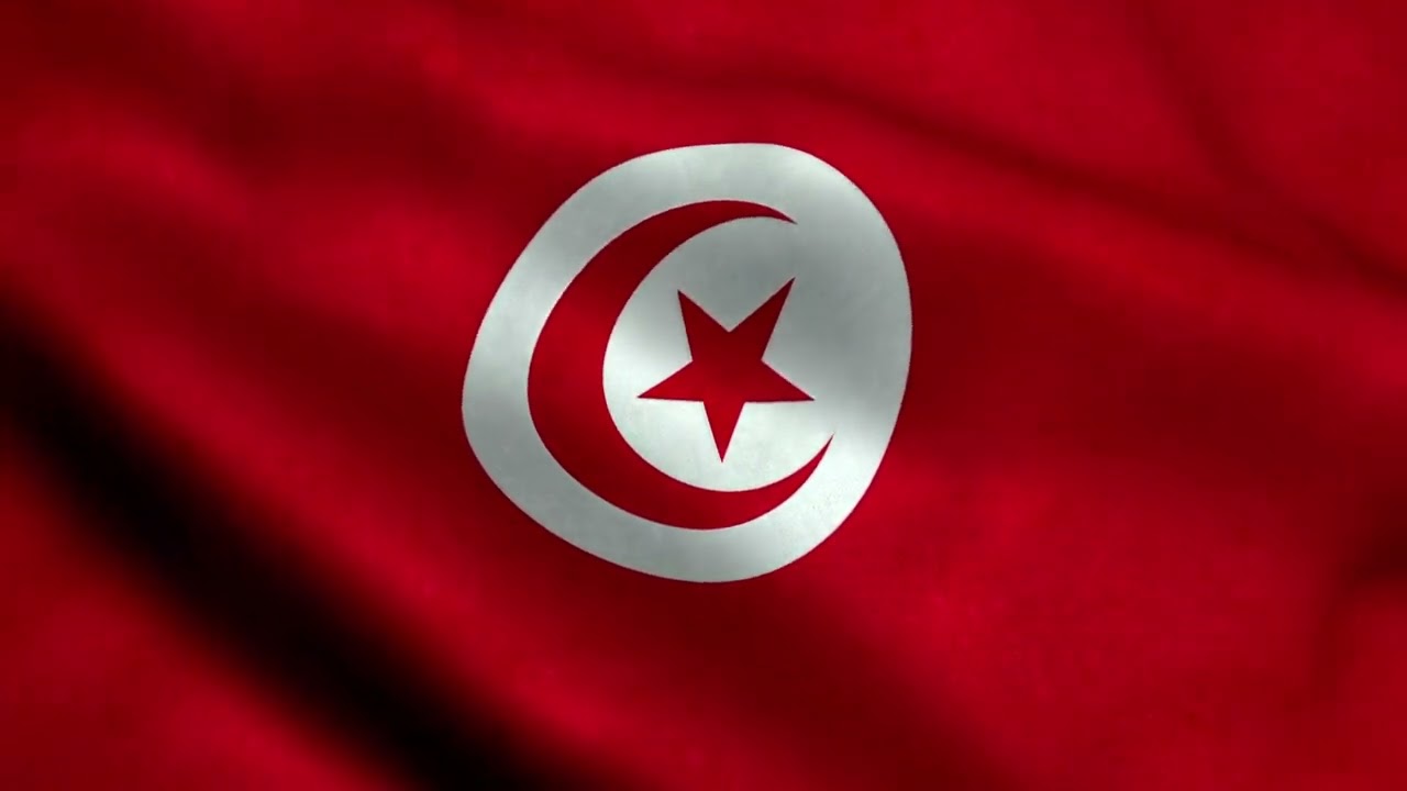 [10 Hours] Tunisian Flag Waving - Video & Audio - Waving Flags