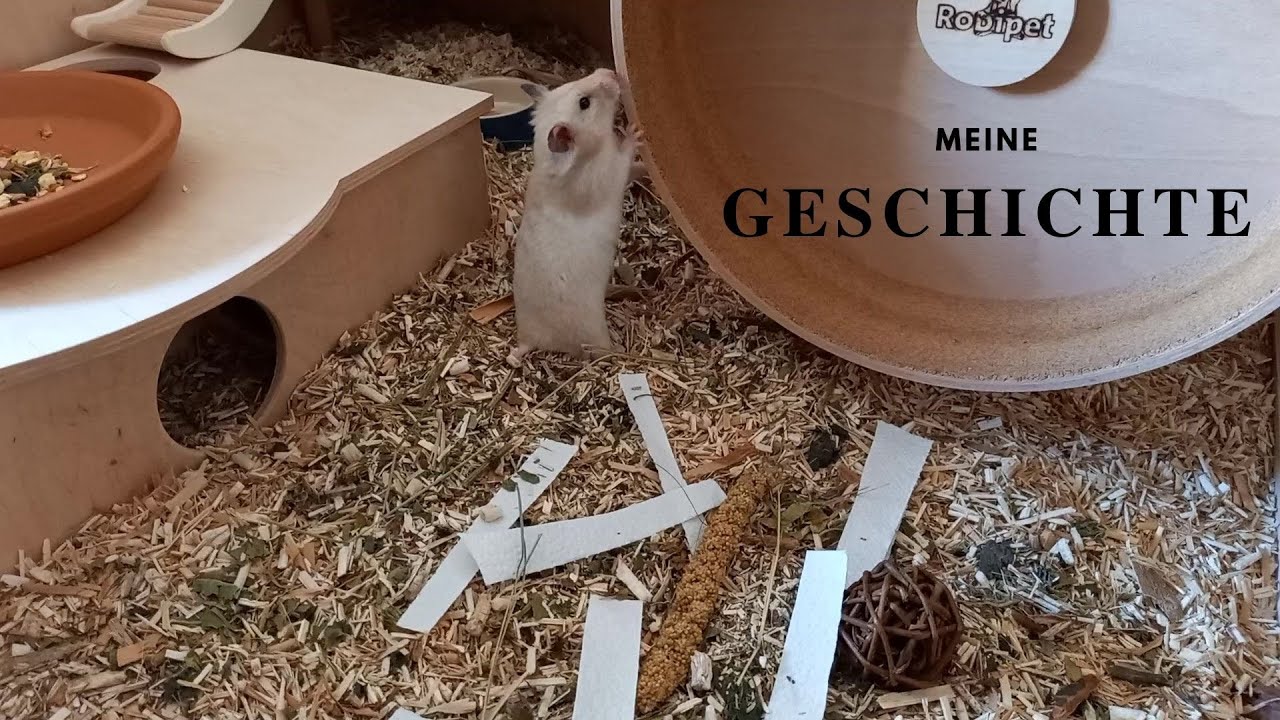 Vom Schuhkarton in die Luxusvilla – Fellis Geschichte