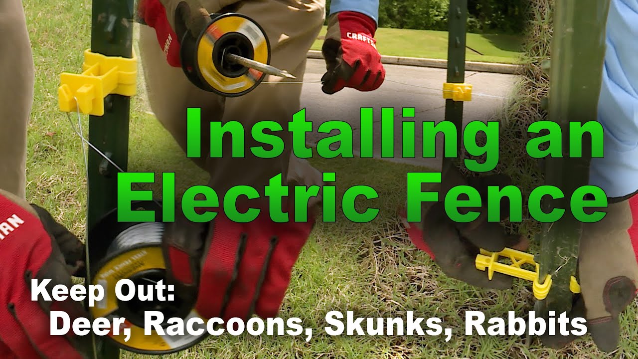 Installing an Electric Fence – Family Plot