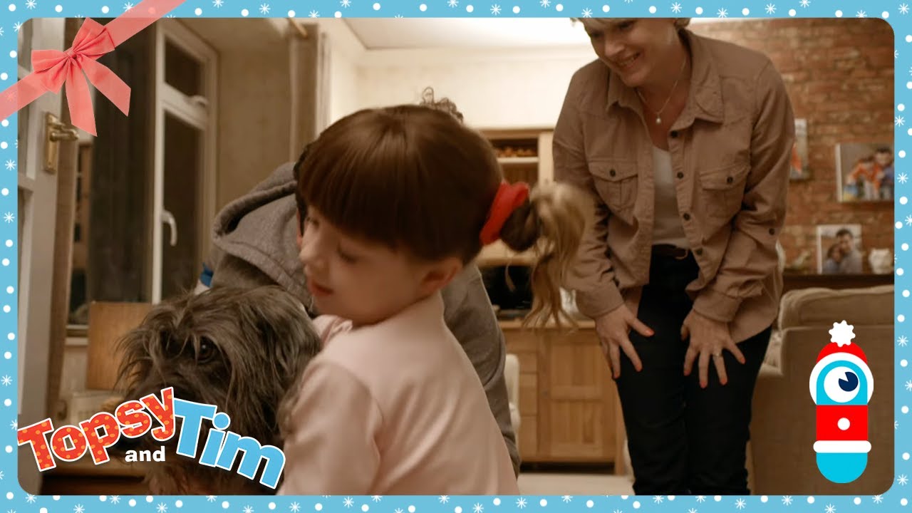 Topsy et Tim en Français | Joyeux noël! | WildBrain Enfants | Compilation d'Épisodes
