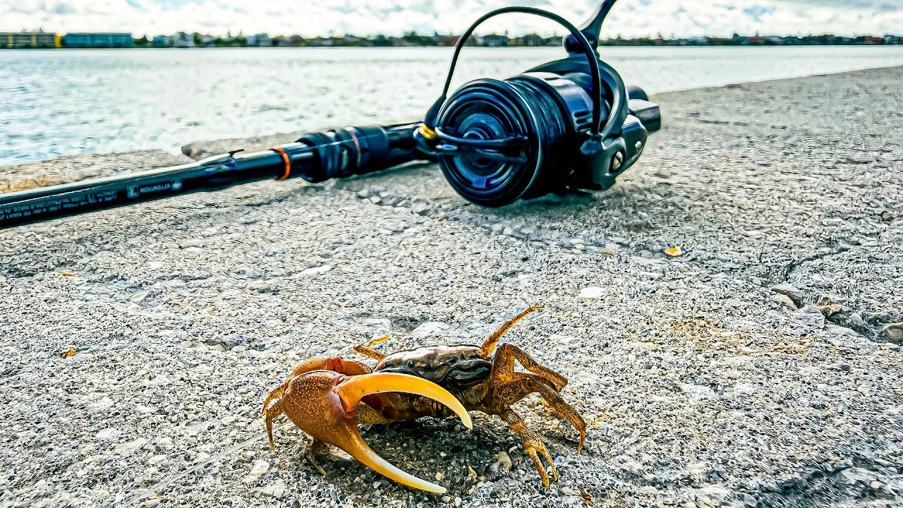 Sheepshead Fishing is Hard Until You Learn This | FWC Enters the Chat
