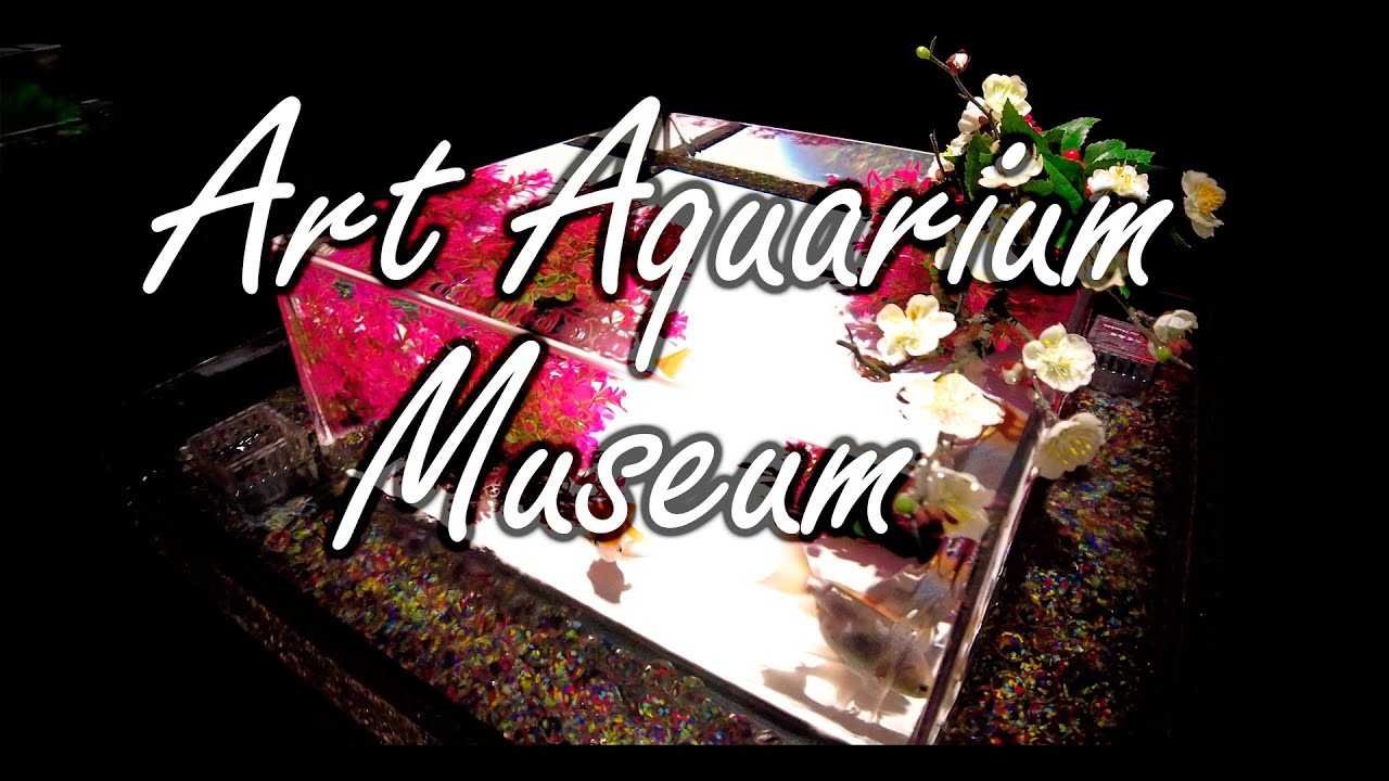 Art Aquarium Museum / Ginza Tokyo