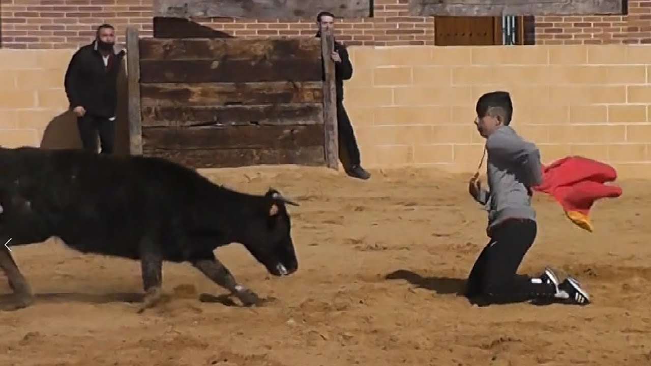 ¡COGIDA DE RODILLAS! ¡MUCHOS SUSTOS! Capea con una erala de NUÑEZ DEL CUVILLO en CAMPOS TAURINOS