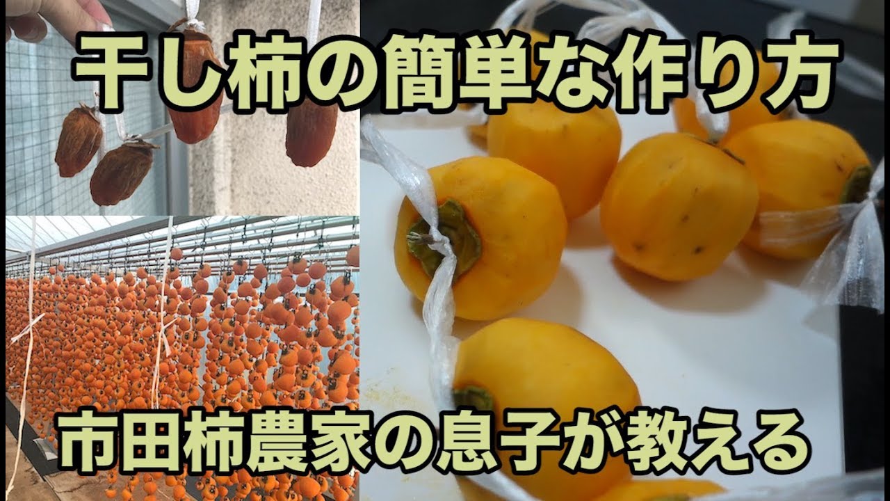 【干し柿】干し柿の簡単な作り方を市田柿農家の息子が教えます